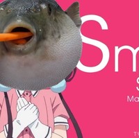 Дол Нот