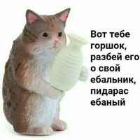Ваня Шавкун