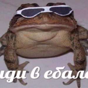 ENOT