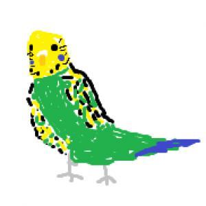 FD GOD