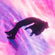 COSMOS(1)