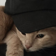 unскил