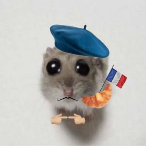 Французский ком