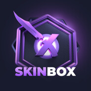 aa SKINBOX