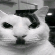 owner